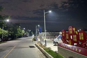 球友会（中国）集团罗宁弟爱心捐赠路灯，点亮乡村路温暖乡民心